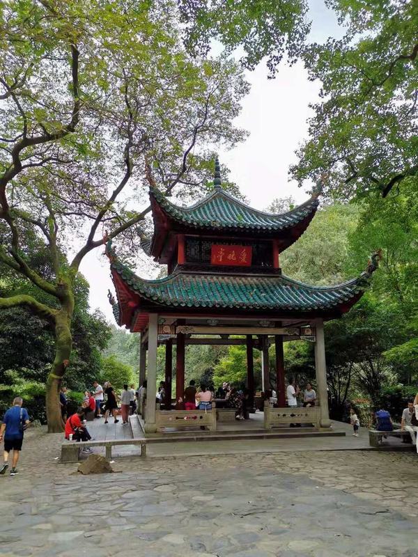 ��´ɽ�_�����W(w��ng)�j(lu��)�������W(w��ng)վʮ���꣬������´ɽ��ӛ